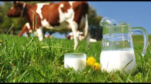 Paises productores de leche de vaca Paises productores de leche de vaca
