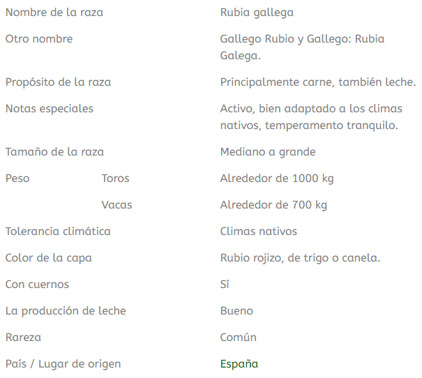 datos importantes sobre la raza de ganado rubia gallega
