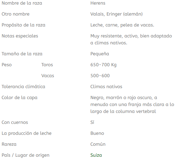 información sobre la raza de ganado herens