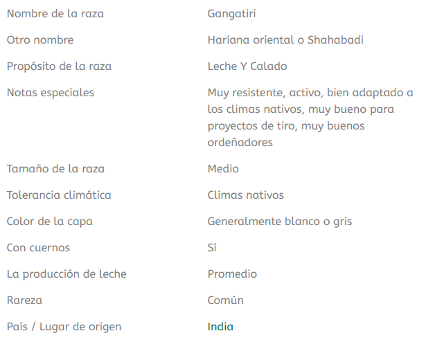 tabla con informacion de la raza de ganado Gangatiri
