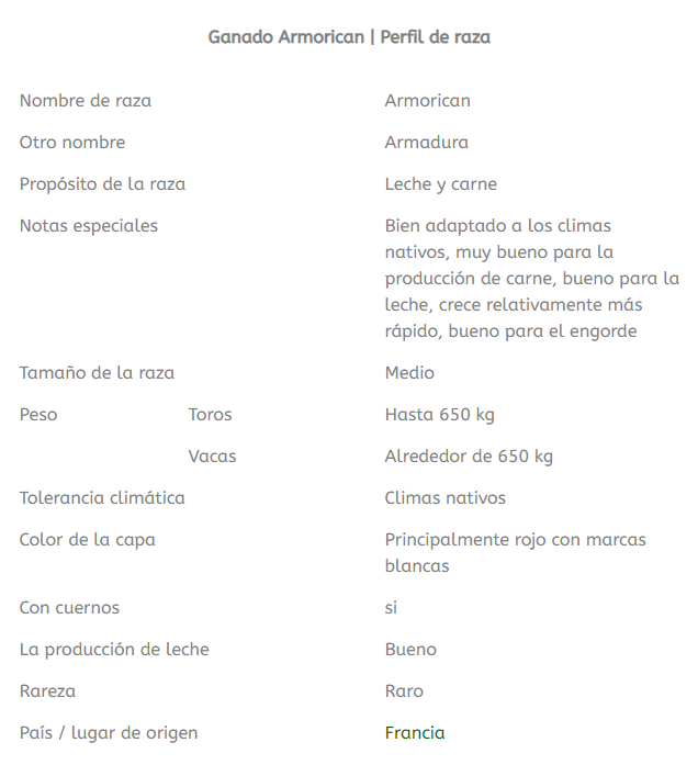raza de ganado armorican