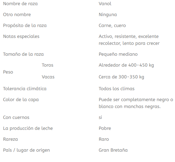 raza de ganado vaynol
